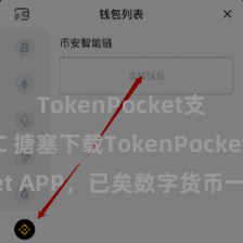 TokenPocket支持BSC 搪塞下载TokenPocket APP，已矣数字货币一站式科罚