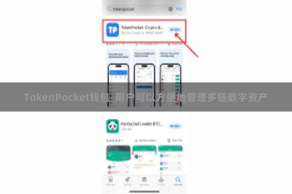 TokenPocket钱包 用户可以方便地管理多链数字资产