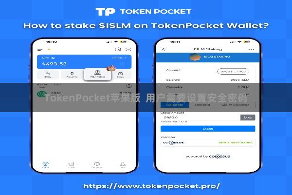 TokenPocket苹果版  用户需要设置安全密码