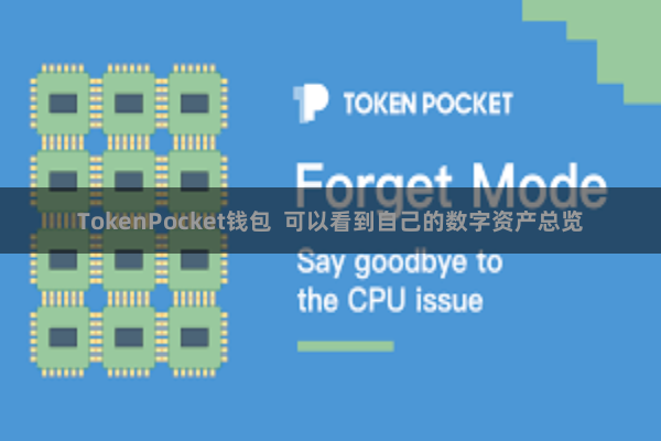 TokenPocket钱包  可以看到自己的数字资产总览